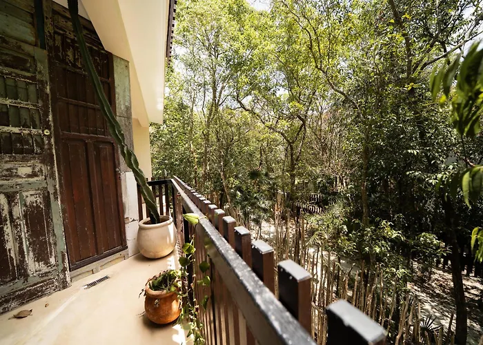 Apartamento Magical Jacuzzi At Jungle "luum Zama"